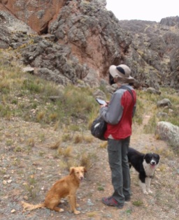 The dogs know the way to the crag at Peñas